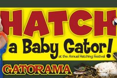 Gatorama Hatch Sign